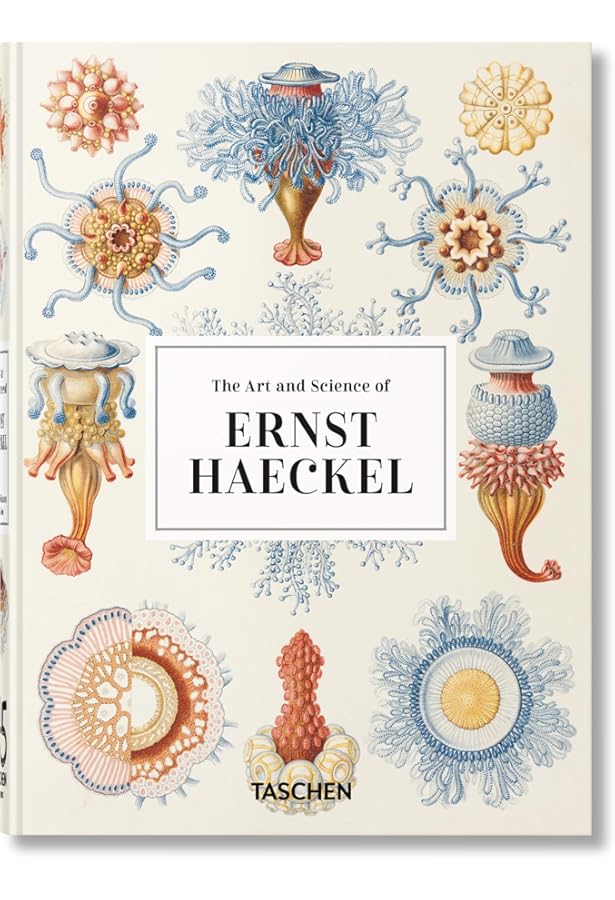 Amazon.co.jp: 生物の驚異的な形 : エルンスト ヘッケル