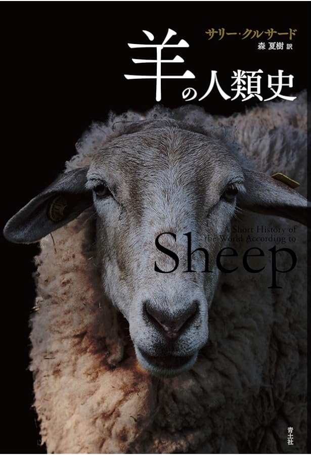 世界のひつじめぐり | 本出 ますみ |本 | 通販 | Amazon