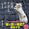 必死すぎるネコ ~ 一心不乱篇