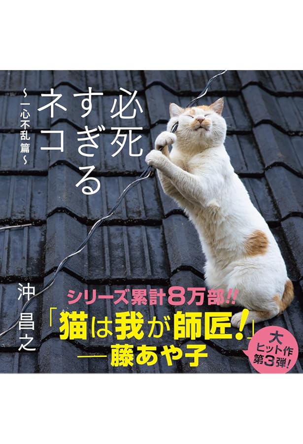 よりそい猫 今日も明日もいっしょ | 沖 昌之 |本 | 通販 | Amazon