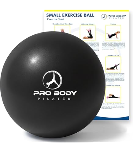 Balanced Body Pilates Oov Training Tool, Small, Core and Back