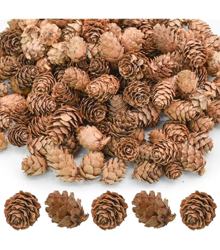 松ぼっくり Amazon.co.jp: Worldoor 松ぼっくり 100個 クリスマス