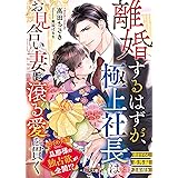 離婚するはずが、極上社長はお見合い妻に滾る愛を貫く (ベリーズ文庫)