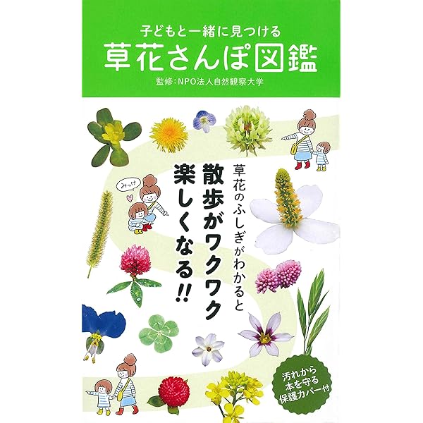 子どもと一緒に見つける 草花さんぽ図鑑 Npo法人 自然観察大学 本 通販 Amazon
