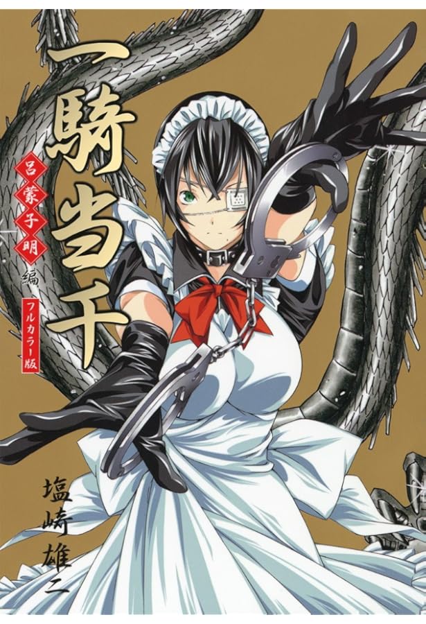 【超美品】一騎当千Animation Art Works I & II 、初画集 一騎当千 Animation Art Works I 一騎当千Animation Art Works 1