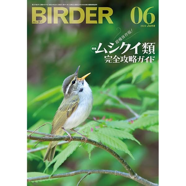 BIRDER (バーダー) 2024年 07月号 [雑誌] | BIRDER編集部 | 趣味