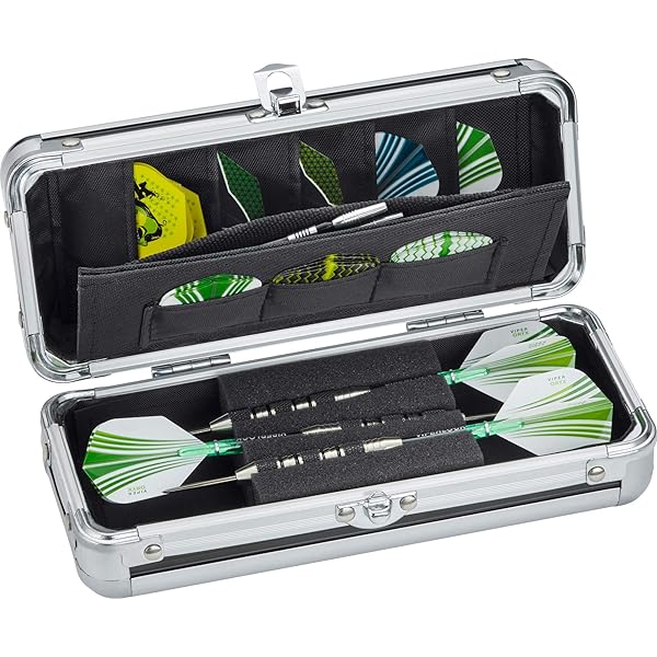 Amazon.co.jp: GLD Casemaster 36-0401-01 Accolade Aluminum