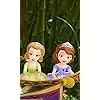 『ちいさなプリンセス ソフィア』アンバー (Princess Amber),ソフィア (Princess Sofia) ディズニー - 『ちいさなプリンセス ソフィア』アンバー (Princess Amber),ソフィア (Princess Sofia) FVGA(480×800)壁紙 348403