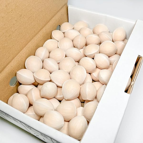 Amazon.co.jp: 銀杏 ぎんなん 3Lサイズ 約500g 95個前後入り 愛知産