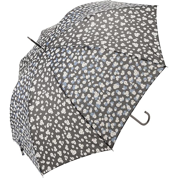 Amazon | CHANTAL THOMASS シャンタル・トーマス 長傘 CT1090