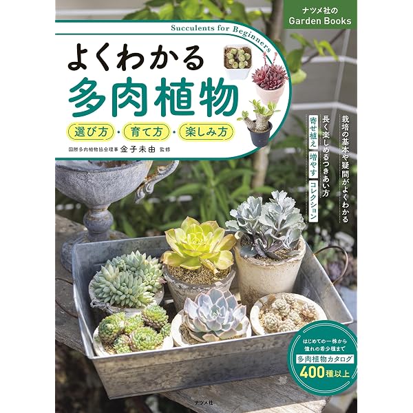 寄せ植え実例もたくさん！ よくわかる多肉植物の育て方 | 田辺正則 |本
