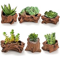 BOTANIZE プランター　未使用　6個セット BOTANIZE プランター 未使用 6個セット 楽天市場】【6個セット