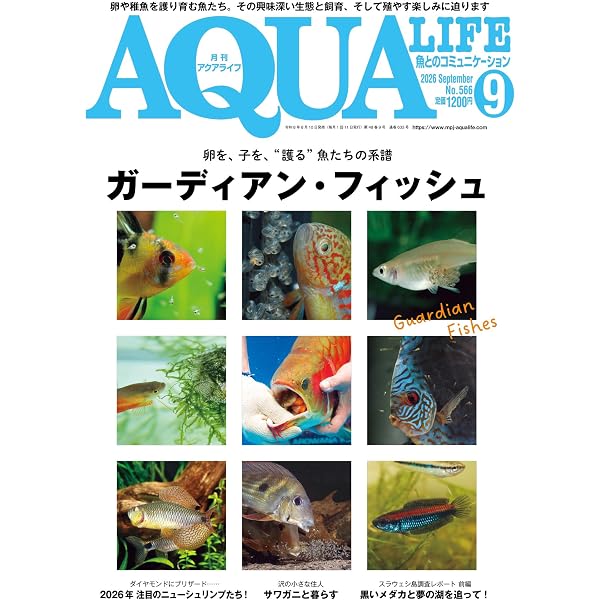 Amazon.co.jp: 月刊 AQUA LIFE (アクアライフ) 2026年 10月号: 納涼