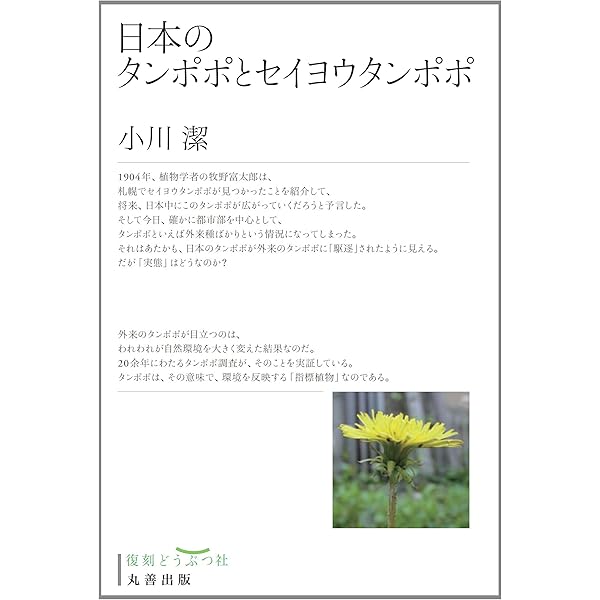 タンポポのずかん | 小川潔 |本 | 通販 | Amazon