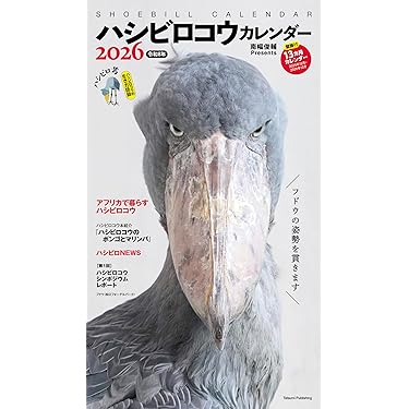 Amazon.co.jp 最新リリース: エコロジー の新着ランキングです。