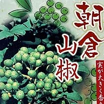 山椒の苗 楽天市場】【送料無料】葉山椒 ハザンショウ 山椒の苗木 果樹の