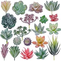 Amazon｜S.fields.inc 人工多肉植物セット 造花 ミニ 人工観葉