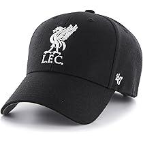 81GK0LETNPL._AC_UL210_SR210,
