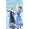 アナと雪の女王 家族の思い出 家族の絆 ディズニー - アナと雪の女王 家族の思い出 家族の絆 FVGA(480×800)壁紙 75568