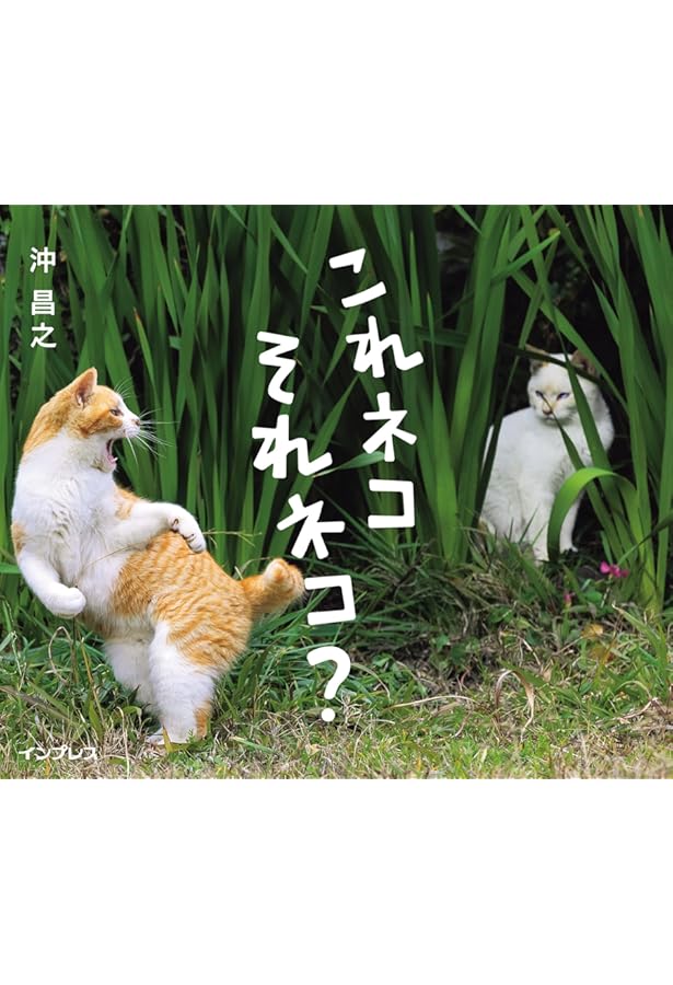 ぶさにゃん | 沖 昌之 |本 | 通販 | Amazon