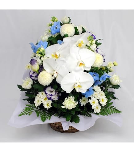 Amazon｜お彼岸 お供え 花 豪華 法事 法要 命日 仏壇 供花 おしゃれ
