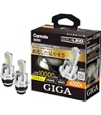 Amazon | カーメイト(Carmate) GIGA HID D2S 用 LED ヘッドバルブ D10