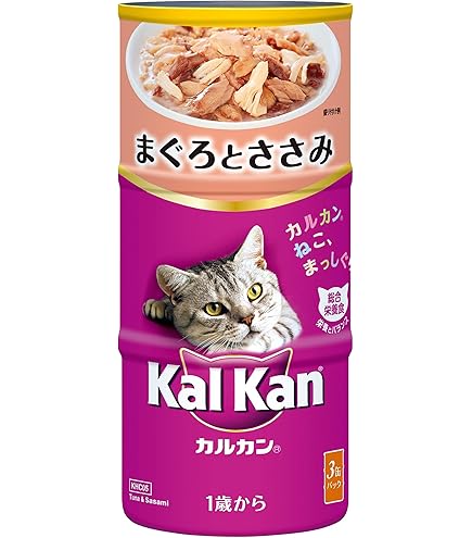食糧補充 英語 4枚 4541851006422_c999_a001_ps.jpg