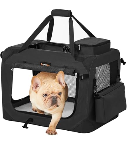 M-Pets Sixties Clock Pet Carrier, Blue : Amazon.com.au: Pet Supplies