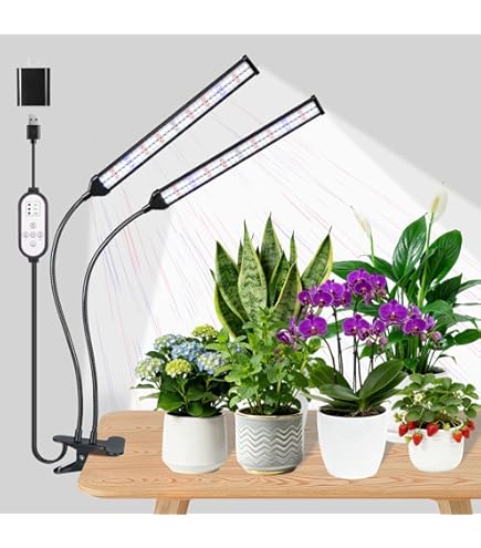 Amazon.co.jp: Garpsen 屋内植物用グローライト レッドブルーフル