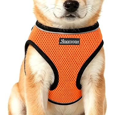 Amazon.co.jp 最新リリース: 犬用ハーネス の新着ランキングです。