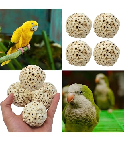 thumbnail image 2 of Bonka Bird Toys Bonka Bird Toys 950 Foraging Taco Shredding Parrot Toy 2 of 11