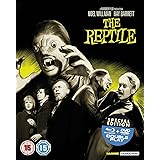 Reptile