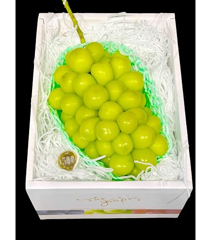 食品 浜松産 高級ぶどう 3種ギフトセット 巨峰 シャインマスカット