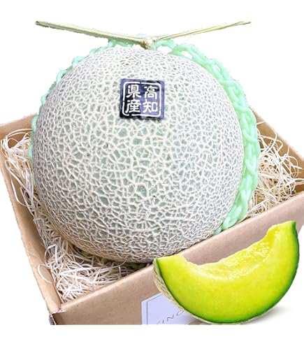 Amazon.co.jp: 夏限定 再入荷 『韓国産入荷』サクサクメロンチャメ