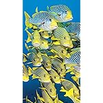 海の生き物 HD(720×1280)壁紙 The Ocean Unseen 2021 Calendar 海の生き物 HD(720×1280)壁紙 The Ocean Unseen 2021 Calendar