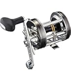 Amazon | ダイワ(DAIWA) 17 シーホーク 300遠投 | ダイワ(DAIWA