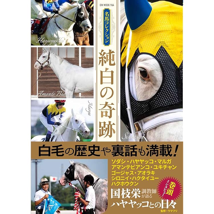 ゴールドシップ写真集 駿夏秋冬 | 競馬王編集部 |本 | 通販 | Amazon