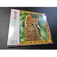 子猫物語