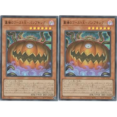 Amazon.co.jp 最新リリース: シングルノンスポーツコレクションカード