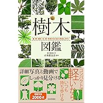 花図鑑 樹木 81Um6D6VkAL.jpg