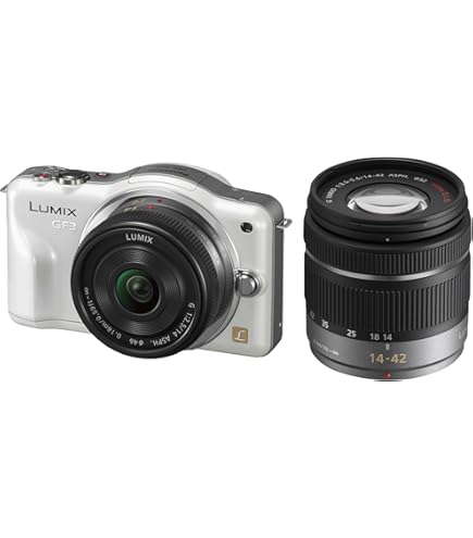 Amazon.co.jp: Panasonic Mirrorless SLR Camera Lumix, 16MP, Live