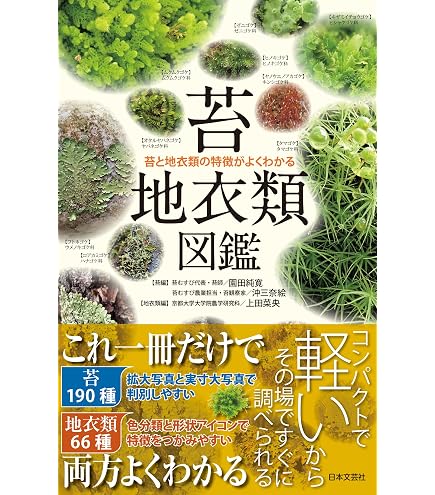Amazon | ビクセン(Vixen) ルーペ コケ観察セット 71122-2 | ルーペ 通販