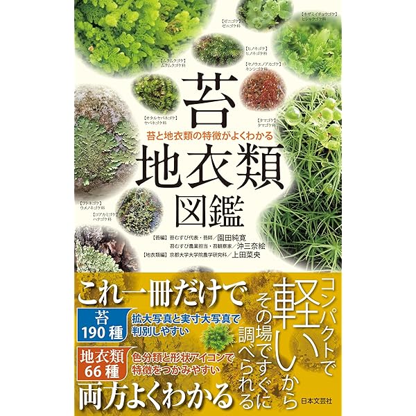 図解・九州の植物 完結編 | 平田 浩 |本 | 通販 | Amazon