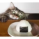 猫 HD(1440×1280) 2024 MARCO's CAT CALENDAR  猫 HD(1440×1280) 2024 MARCO's CAT CALENDAR