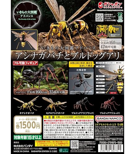 Amazon | いきもの大図鑑アドバンス オオカマキリとショウリョウバッタ