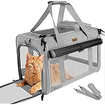 81HIkQge-uL._AC_UL210_SR210,