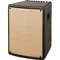 アイバニーズ　スタックアンプ Amazon | Ibanez アイバニーズ エレアコ&ウクレレ用 コンボ