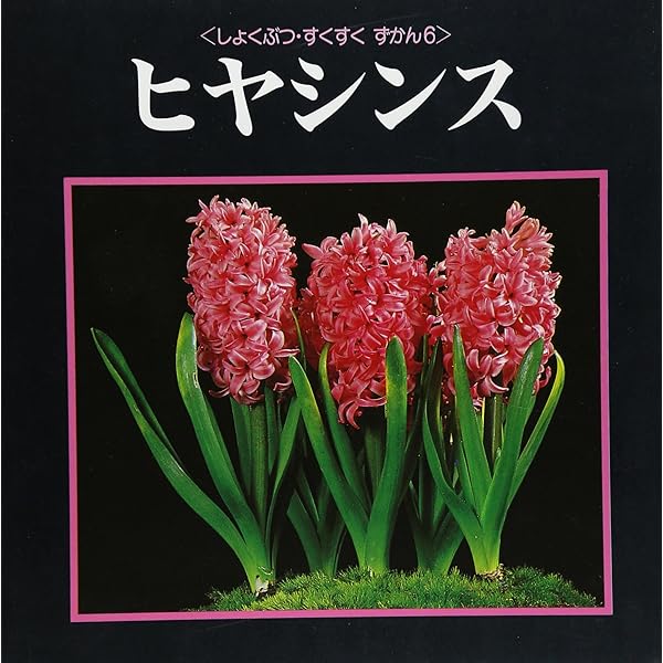 入手困難品・福音館書店「ひやしんす」 Amazon.co.jp: ひやしんす (かがくのとも傑作集 6) : 平山 和子