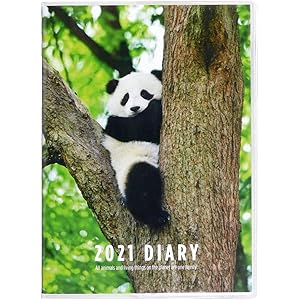 グリーティングライフ 手帳 2021年 パンダ 20年12月始まり A6 CD-979-PA グリーン