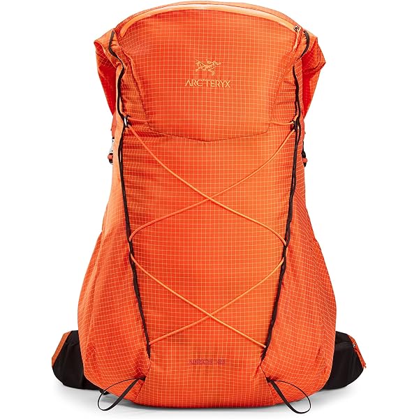 Amazon.co.jp: Arc'teryx X000006597 Pixel/Sprint REG Men's
